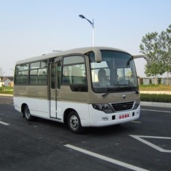 Mini Bus with Cheap 