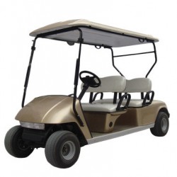 2018 Most Fashionable 4-Seat Golf Cart