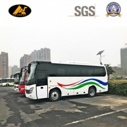 8m Rhd Mini Bus with Cumins Diesel Engine