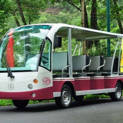 Electric 14 Passenger Sightseeing Battery Mini Bus (DN-14)