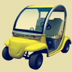 2 Seat Mini Electric Sightseeing Car Rsg-102e