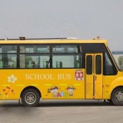 Cnhtc HOWO 6720dax School Bus