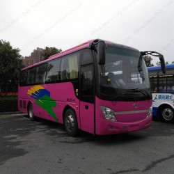 Wide Vision and Comfort Journey 39-43passengers 9m Luxury Tourist Bus