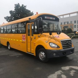 Hot-Sale 8.6m 35seats Euro-3 School Bus