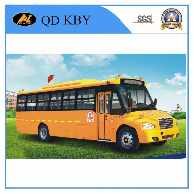 7.3 Meters High Qualtiy Diesel School Bus with 35 Seats Bus Image1
