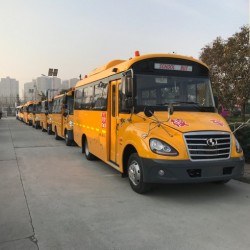 Hot-Sale 6.6m 23 Seats Euro-2 School Bus