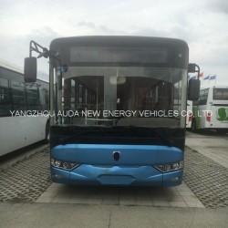 Popular 12 Meters Bu