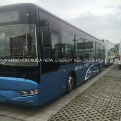 Luxury 12 Meters Ele