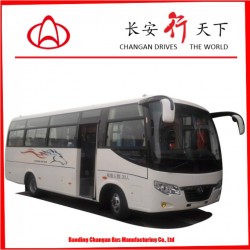 6.6m Passenger Bus 2