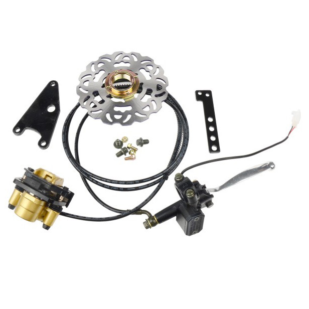 2017 INA Electric Bike Spare Parts Supplier Wit Rear Disc Bakes Image1