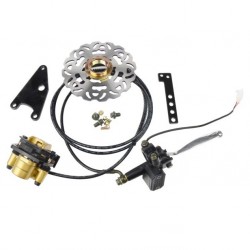 2017 INA Electric Bike Spare Parts Supplier Wit Rear Disc Bakes