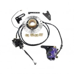 2017 Electric Motorcycle Spare Parts Rear Disc Bakes for Sale