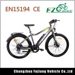 City Design Ebike with LED Display From China