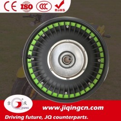 250-2000 W Brushless DC Motor for Adult Electric Motorcycle