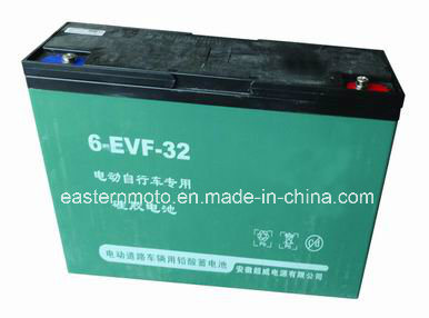 Lead Acid Battery for Electric Tricycle Image1