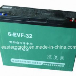 Lead Acid Battery for Electric Tricycle