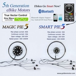 Golden Motor Electric Bike Conversion Kit 24V/36V/48V500W1000W