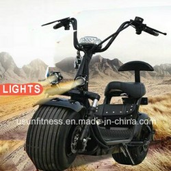 Electric Motorcycle Bike for Adult