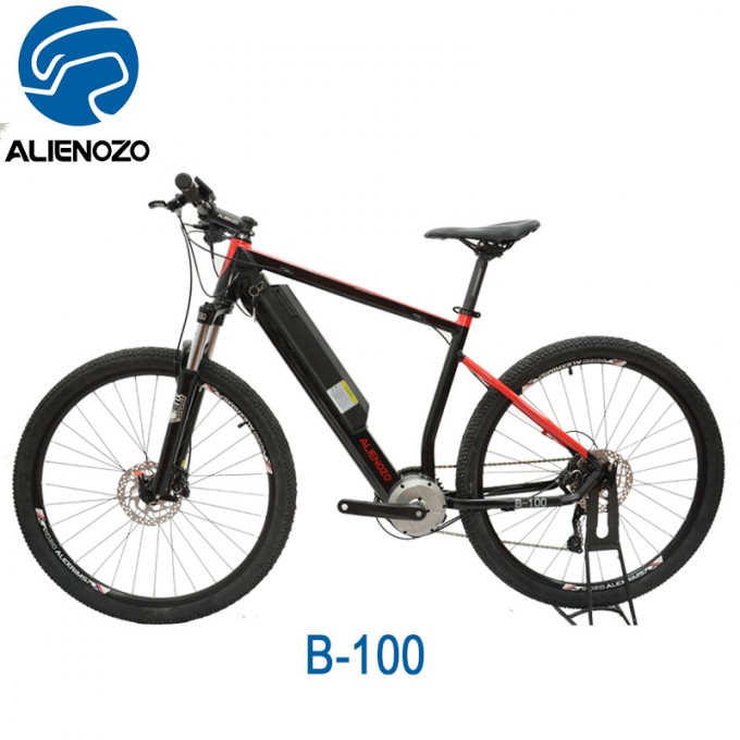 36V 250W Brushless Motor Ce En15194 SGS Certification Electric Bicycle Image1