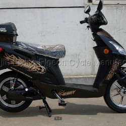 Electric Bike (E-001)