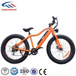 48V750W Fat Electric Bike 26inch