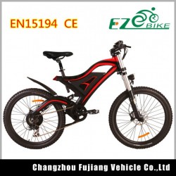 Factory Price Electric Mountain Bike with Ce for Sale