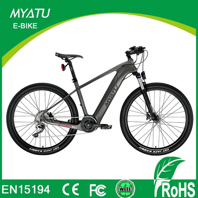 Electric Bicycle Europe for Carbon Fiber E Bicycle Image1