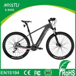 Electric Bicycle Europe for Carbon Fiber E Bicycle