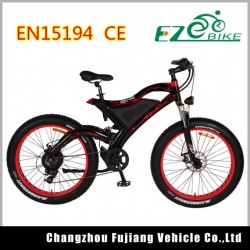 China Factory Supplied 750W Pedal Assisted Electric Bike