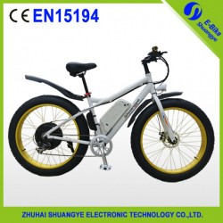 Brushless Motor 28 I