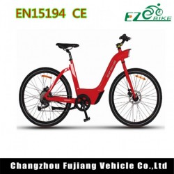 Lithium Power Electric Bike for Lady with 250 Motor