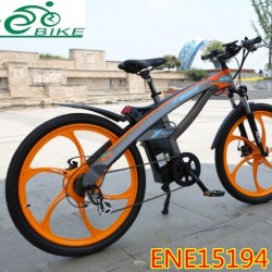 Ce Approved Electric Bike with 36V Battery