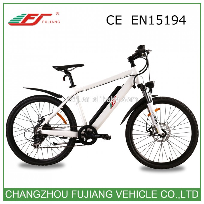 Hot Sale Ce En15194 Road Electric Bike Image1