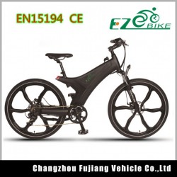 Popular Great for Fun and Commuting Electric Bicycle for Leisure