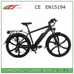 Hot Sales Ce Approval Electric Bicycle