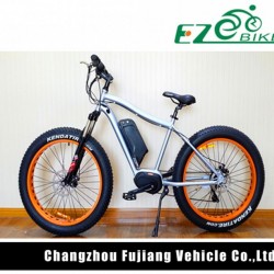 Popular Factory Price Electric Mountain Bike with MID Motor