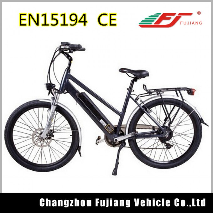Beautifully Designed E Bike with Rear Rack and Basket Image1