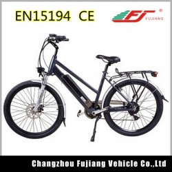 Beautifully Designed E Bike with Rear Rack and Basket