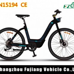 Light Ce Approval 500W Electric Bike Motor