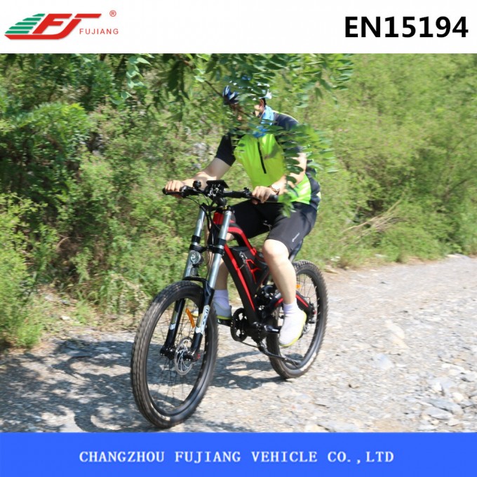 26 Inch Electric Snow Beach Mountain Bicycle with Big Power Image1