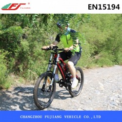 26 Inch Electric Snow Beach Mountain Bicycle with Big Power
