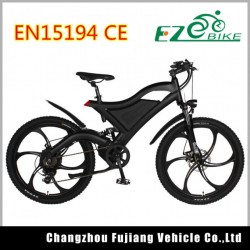 Electric Bike with Ce SGS En15194