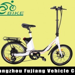 20 Inch Electric Bike with Mag Wheel for Lady