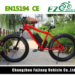 Powerful Full Suspension Electric Bike, Fat Electric Mountain Bike