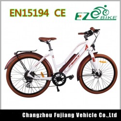 New Model Green City Lady Comfortable Electric Bike