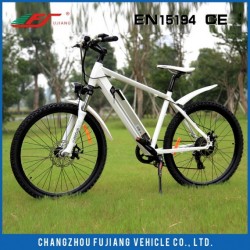 Hot Sell Best Electric City Bike