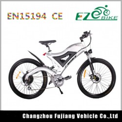 Popular Samsung Cell E-Bike Battery 48V