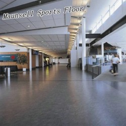 Good Quality PVC/Homogeneous Floor for Airport/Subway/Office