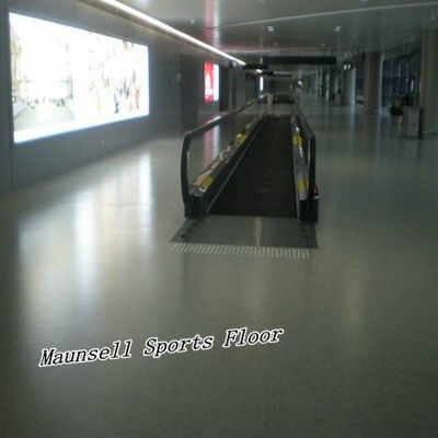 Professional PVC/Homogeneous Floor for Airport/Subway/Office Image1
