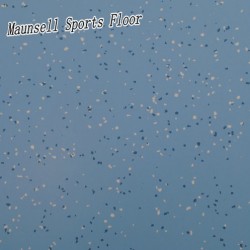 Top Quality PVC/Homogeneous Floor for Airport/Train/Subway/Transport Areas